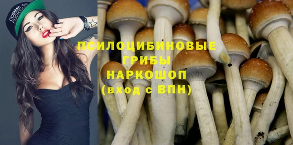 крисы Елабуга