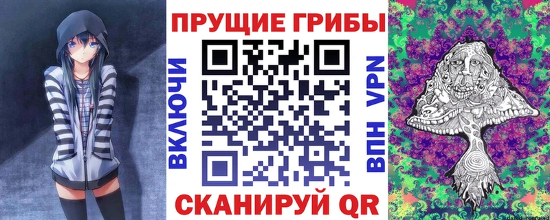 Галлюциногенные грибы Psilocybe  цена наркотик  Ейск 