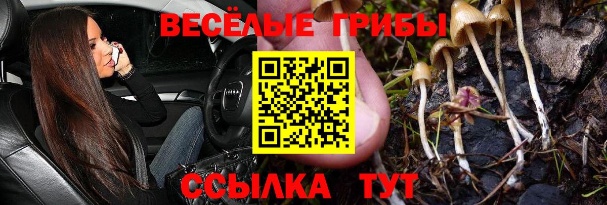 Галлюциногенные грибы Psilocybe  Вход с VPN  Галлюциногенные грибы Magic Shrooms  Ейск 