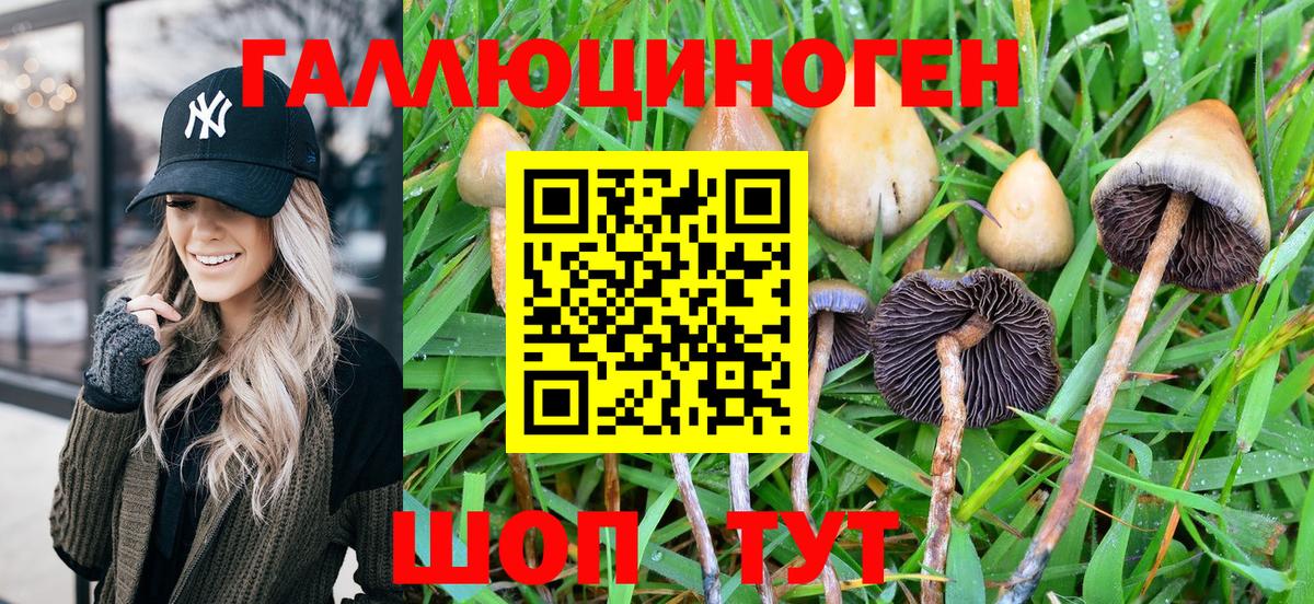 Псилоцибиновые грибы GOLDEN TEACHER Ейск
